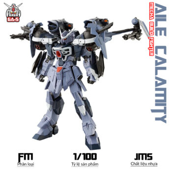 FM 1/100 AILE CALAMITY